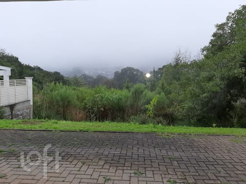 Image 31 - 246989